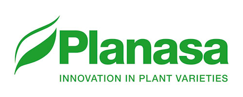 Planasa is proud to sponsor the North American Strawberry Growers Association.